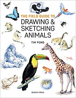 field guide to drawing and sketching – Blue Weaver